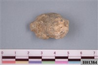 藏品(牡蠣)的圖片